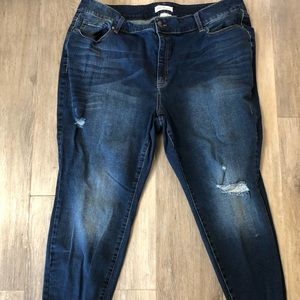 Lane Bryant Jeans